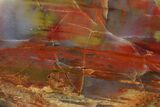 Free Standing Petrified Wood (Araucarioxylon) - Arizona #371679-2